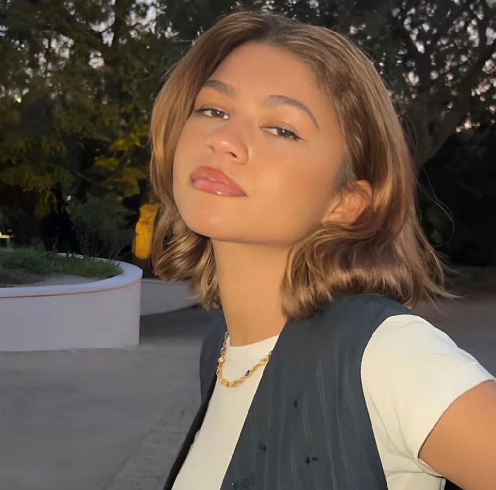 Zendaya Debuts Her New Haircut In Latest Instagram Post | Harper's ...