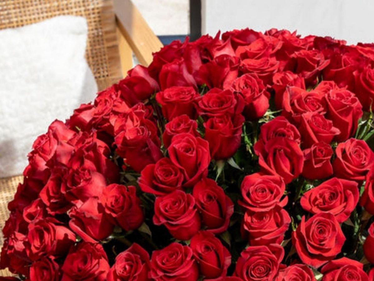 go-big-or-go-home-with-your-valentine-s-day-flowers-harper-s-bazaar